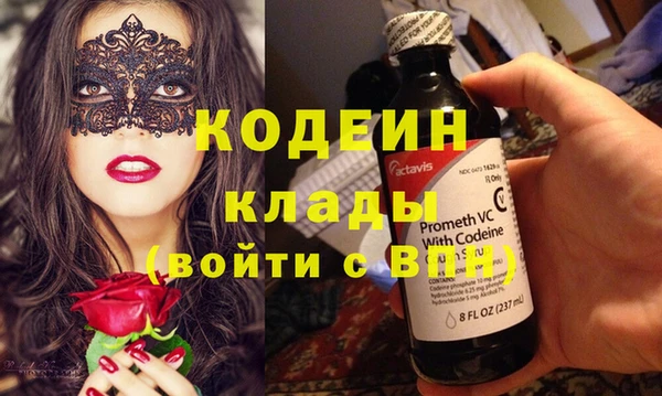 спиды Снежногорск