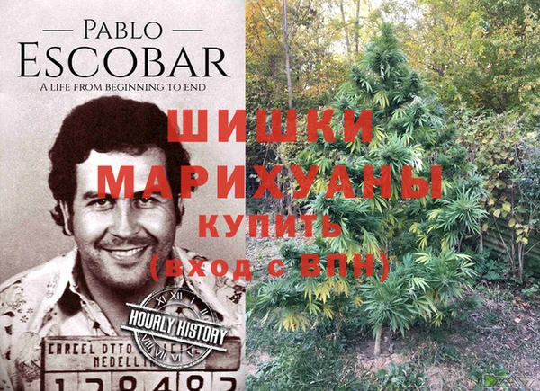 экстази Инсар