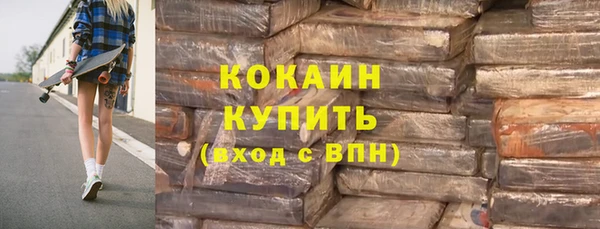 гашик Зеленокумск