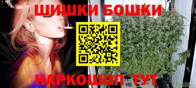 спиды Бийск