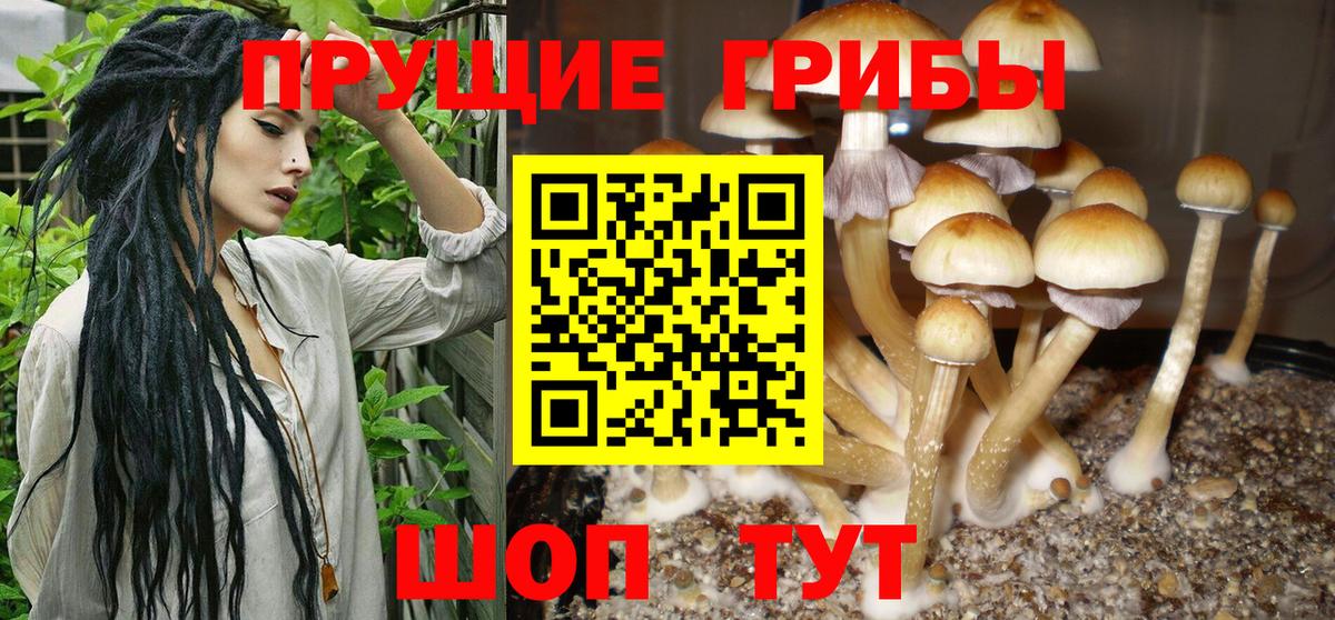 Псилоцибиновые грибы Magic Shrooms  где купить наркоту  Солнечногорск 