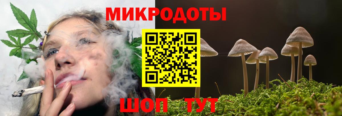 Псилоцибиновые грибы MAGIC MUSHROOMS Солнечногорск