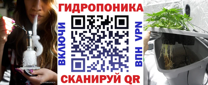 Каннабис семена  цена   Солнечногорск 
