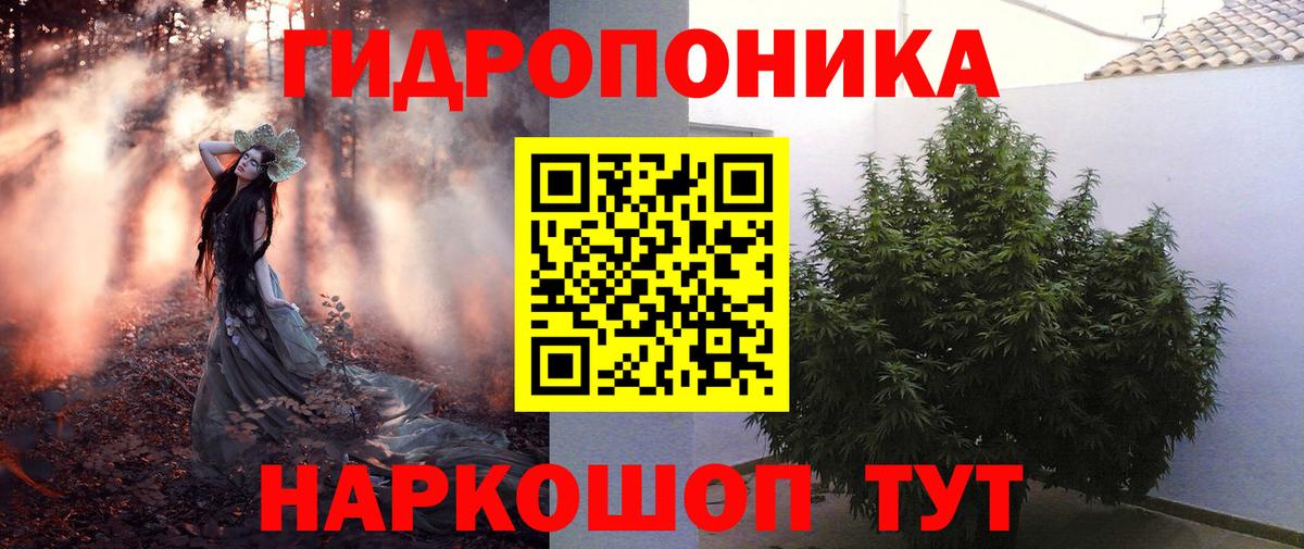 Марихуана ГИДРОПОН  Марихуана Ganja  Вход с VPN  Солнечногорск  Бошки марихуана Bruce Banner 